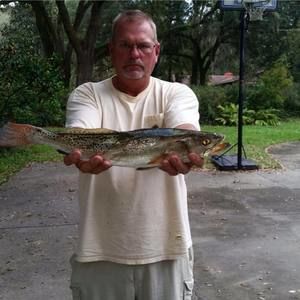 Meet your Posher, Kim